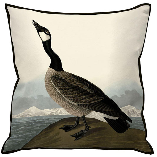 Black-White - Front - John James Audubon Hutchin Barnacle Goose Filled Cushion