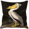Black-White - Front - John James Audubon American White Pelican Filled Cushion