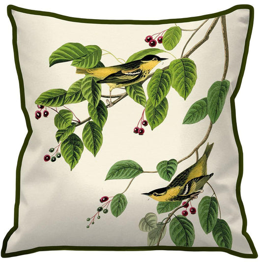 White-Green - Front - John James Audubon Carbonated Warbler Cushion