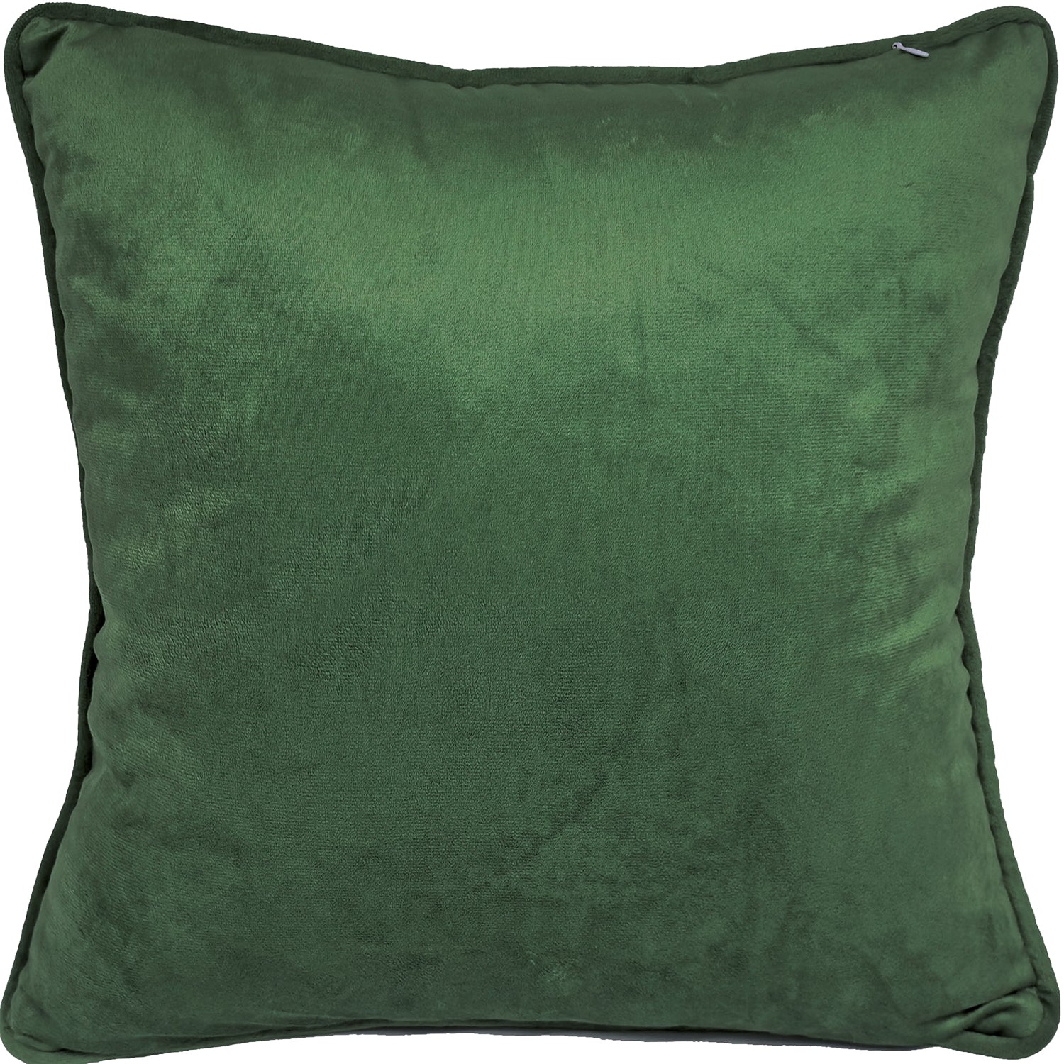 Green-White - Back - John James Audubon Painted Finch Filled Cushion