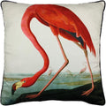 White-Red-Black-Blue - Front - John James Audubon American Flamingo Filled Cushion