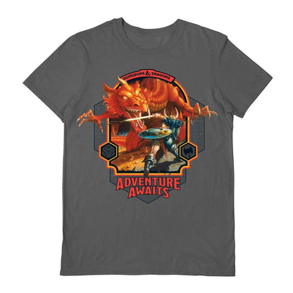 Grey-Red - Front - Dungeons & Dragons Unisex Adult Adventure Awaits T-Shirt
