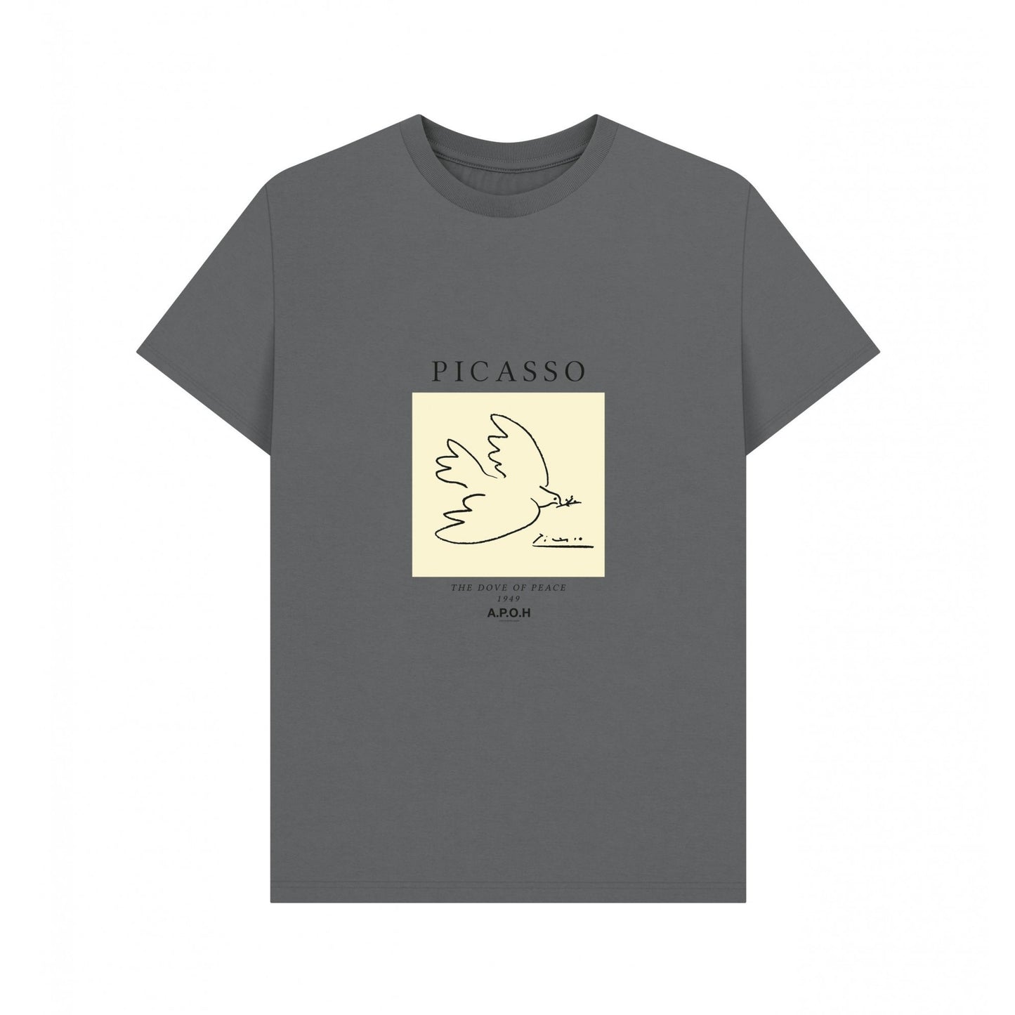 Slate - Front - Apoh Unisex Adult Dove Picasso T-Shirt