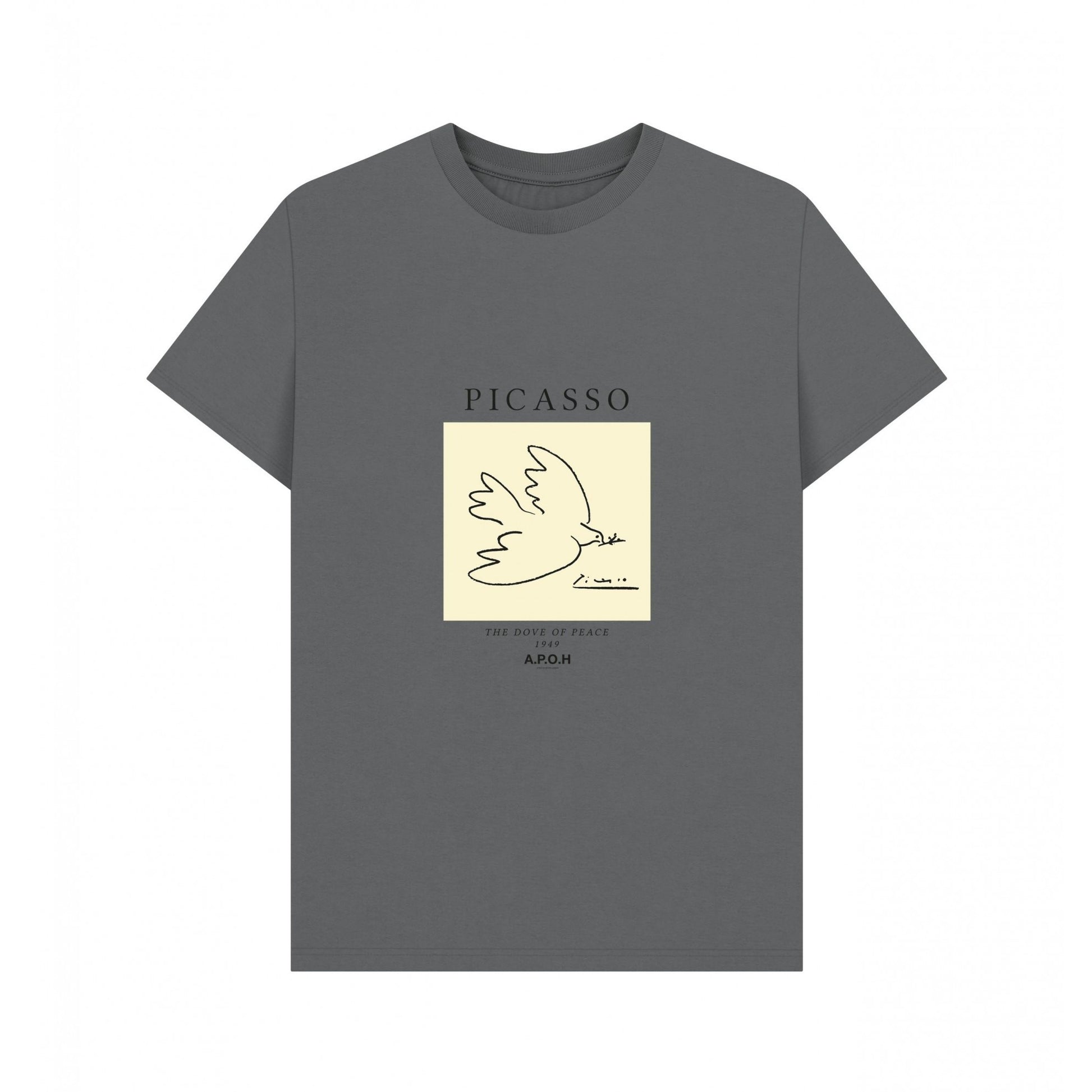 Slate - Front - Apoh Unisex Adult Dove Picasso T-Shirt