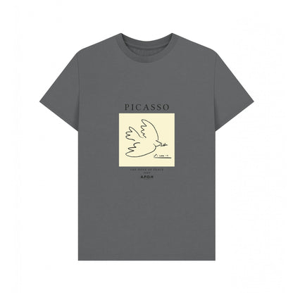 Slate - Front - Apoh Unisex Adult Dove Picasso T-Shirt