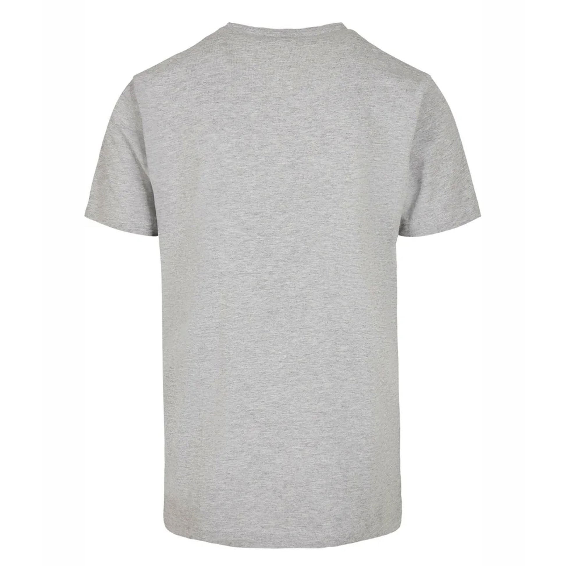 Charcoal - Back - Apoh Unisex Adult Dove Picasso T-Shirt