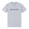 Heather Grey - Front - Friends Unisex Adult Logo T-Shirt