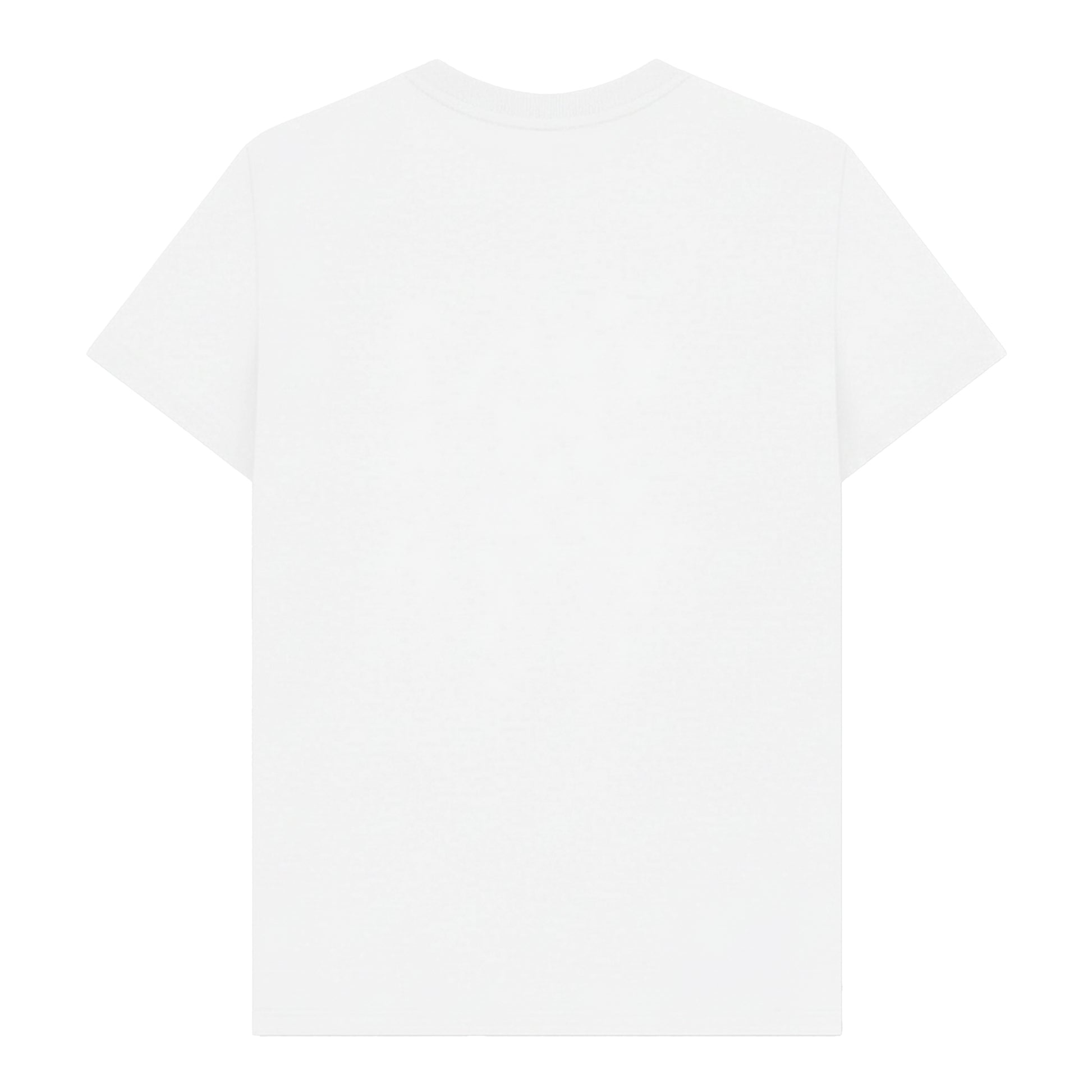 White - Back - Lynyrd Skynyrd Unisex Adult Freebird Logo T-Shirt