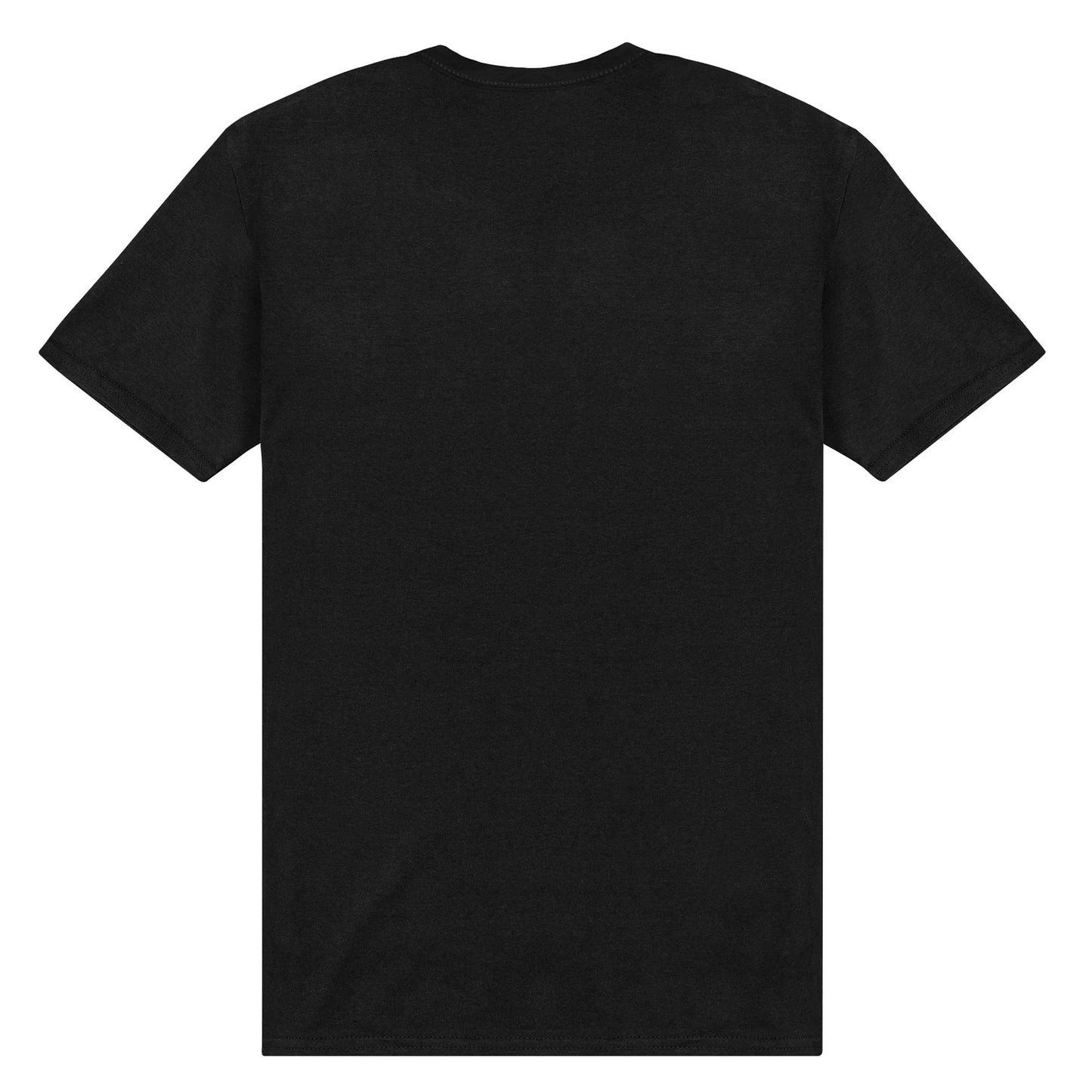 Black - Back - Lynyrd Skynyrd Unisex Adult Guitar T-Shirt