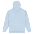 Sky Blue - Back - University Of Oxford Unisex Adult Text Hoodie
