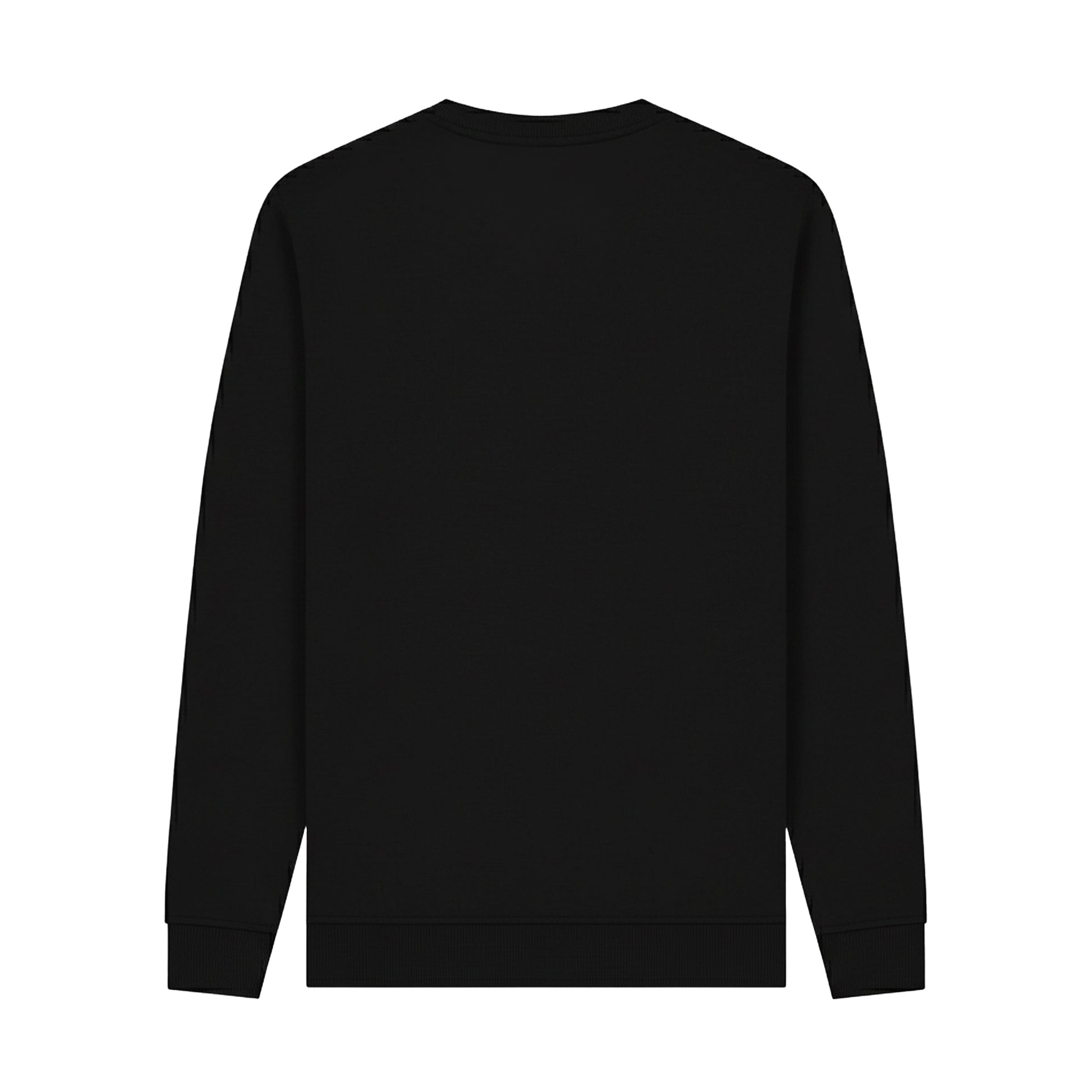 Black - Back - Lynyrd Skynyrd Unisex Adult Freebird Print Sweatshirt
