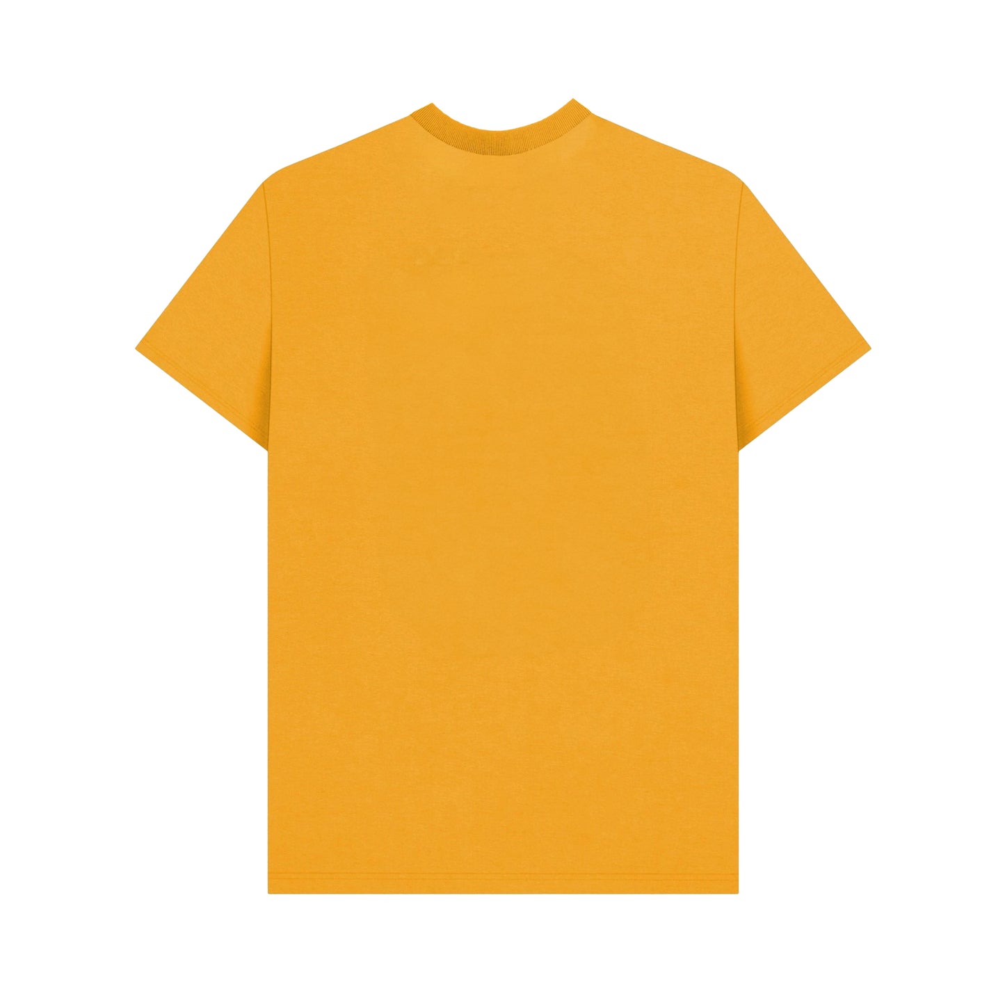 Mustard-Multicoloured - Back - Apoh Unisex Adult Pride Rainbow T-Shirt