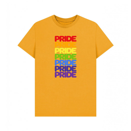 Mustard-Multicoloured - Front - Apoh Unisex Adult Pride Rainbow T-Shirt