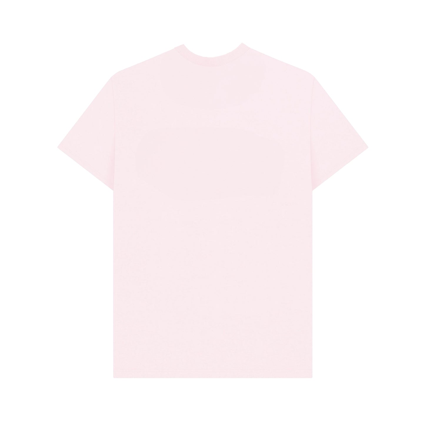 Pink-Multicoloured - Back - Apoh Unisex Adult Pride Slogan T-Shirt