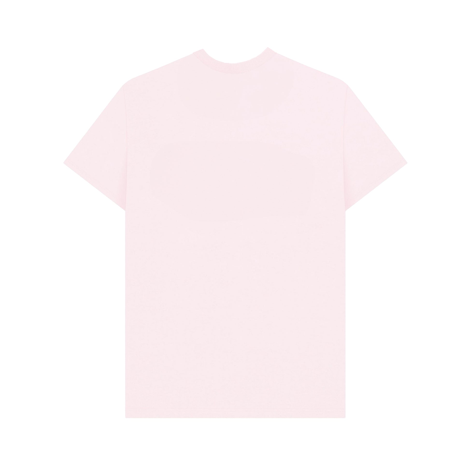 Pink-Multicoloured - Back - Apoh Unisex Adult Pride Slogan T-Shirt