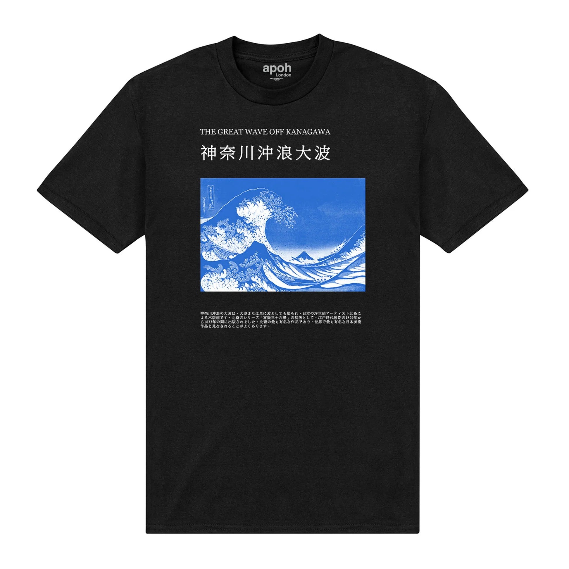 Black - Front - Apoh Unisex Adult Off Kanagawa Hokusai T-Shirt