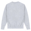 Heather Grey - Back - Apoh Unisex Adult Without Monet Sweatshirt