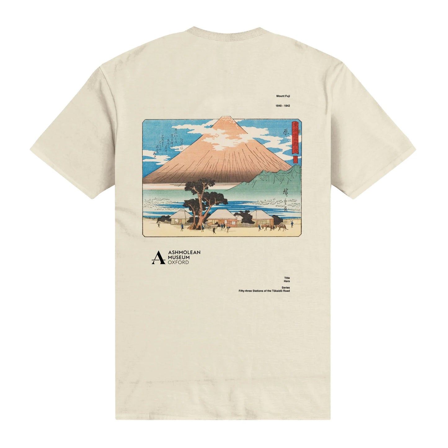 Sand - Back - Ashmolean Museum Unisex Adult Landscape T-Shirt