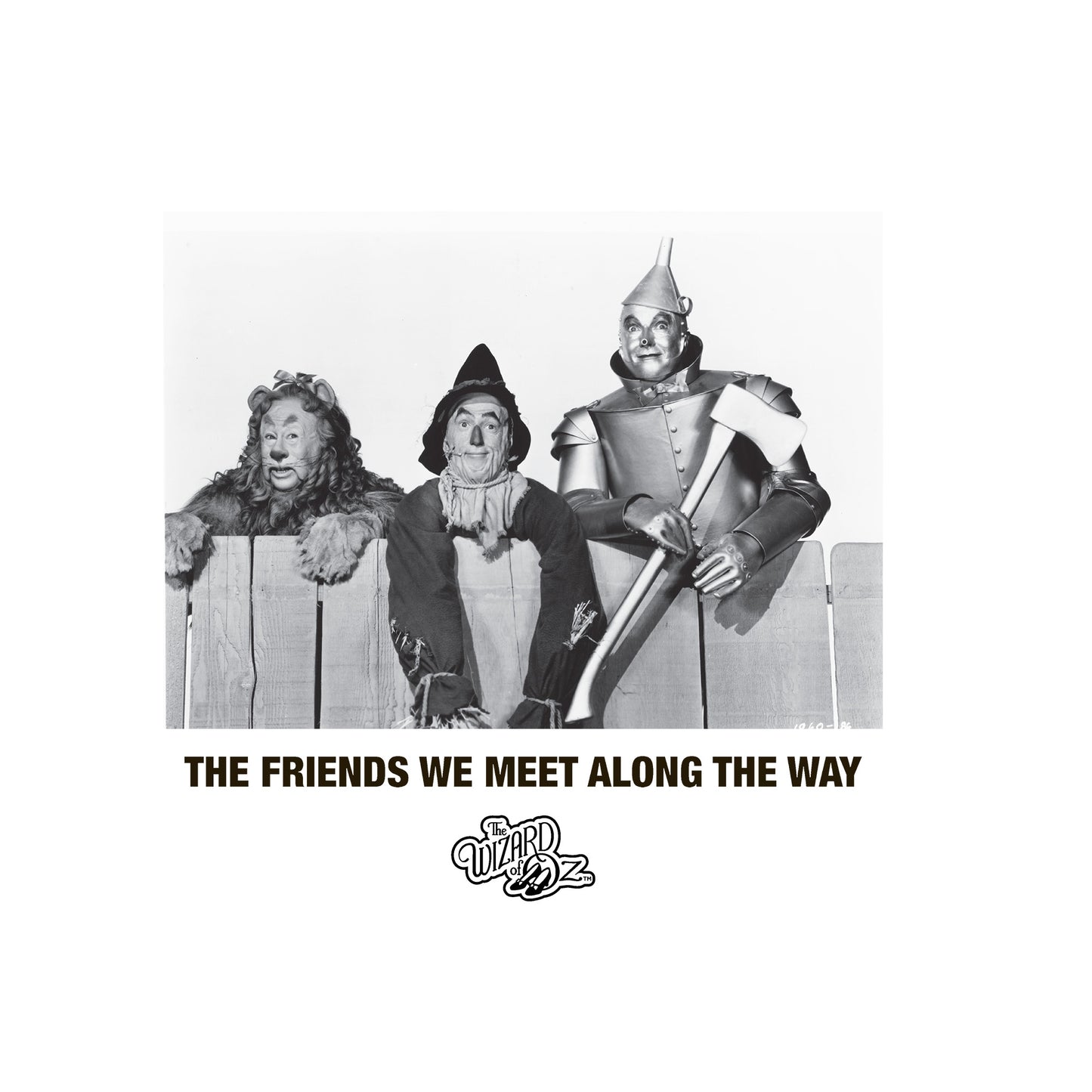 White - Back - The Wizard Of Oz Unisex Adult Friends T-Shirt