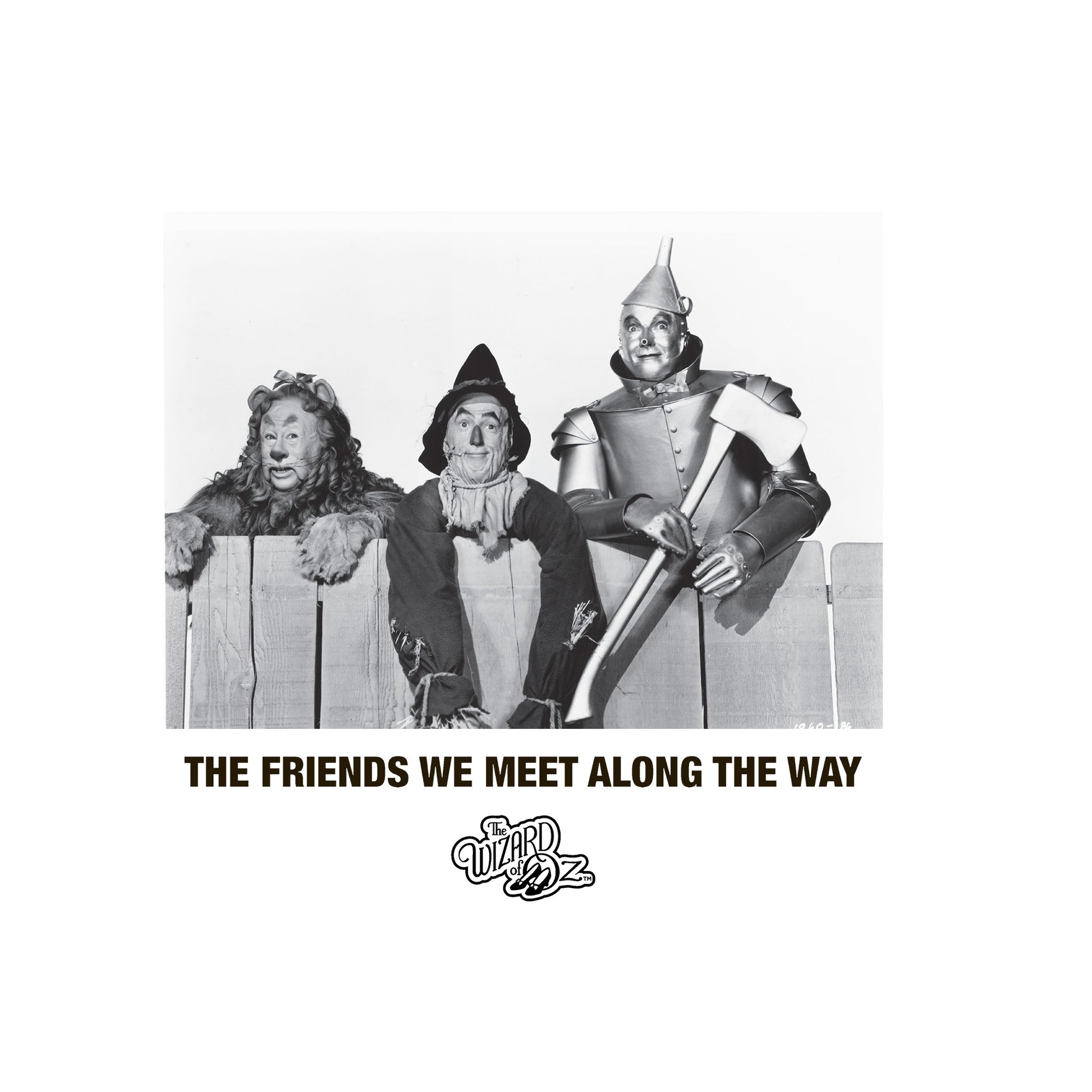 White - Back - The Wizard Of Oz Unisex Adult Friends T-Shirt