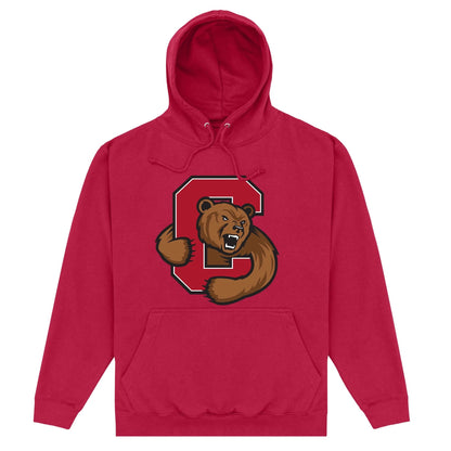 Maroon - Front - Cornell University Unisex Adult Bear Hoodie