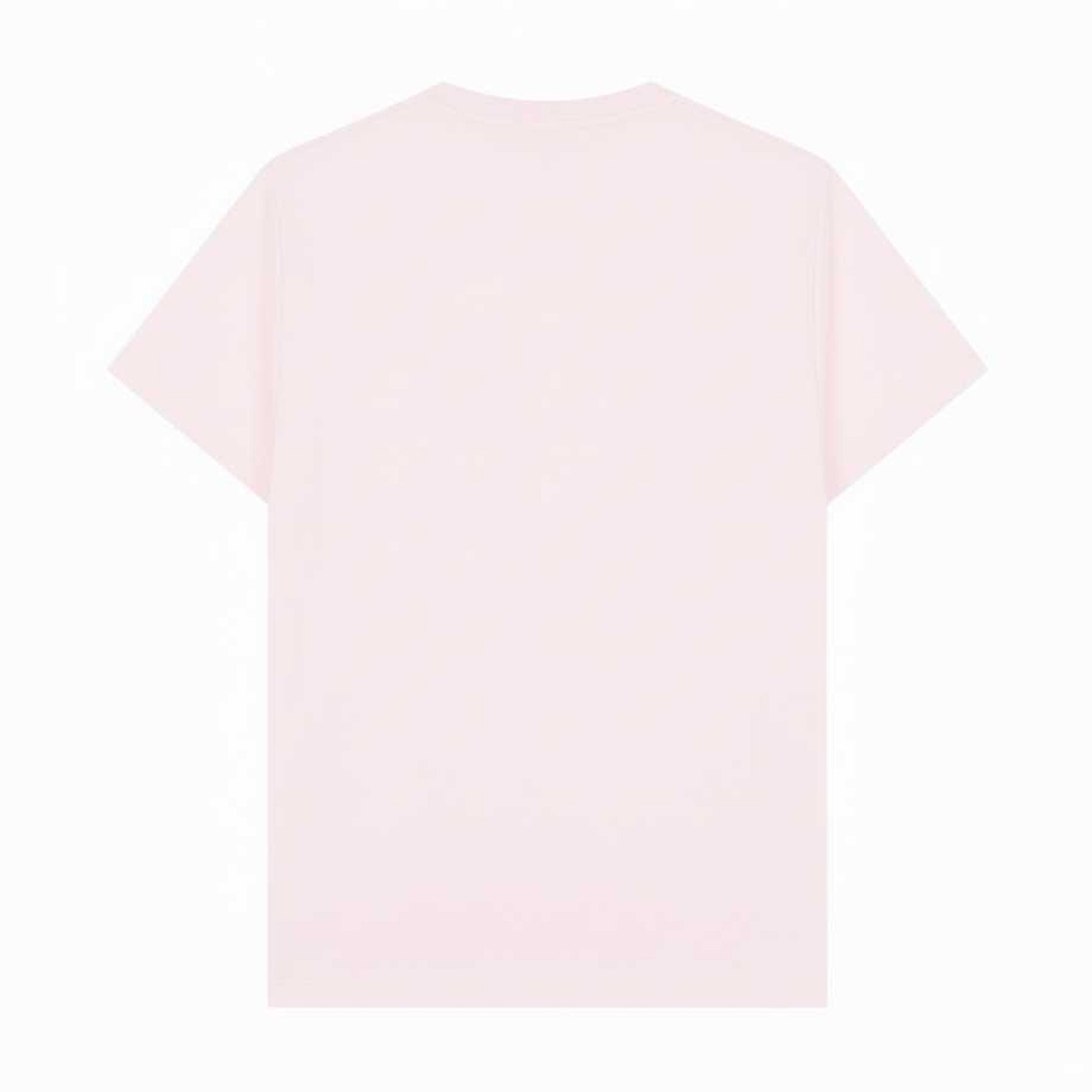Pink - Back - Ashmolean Museum Unisex Adult A Vase Of Flowers T-Shirt