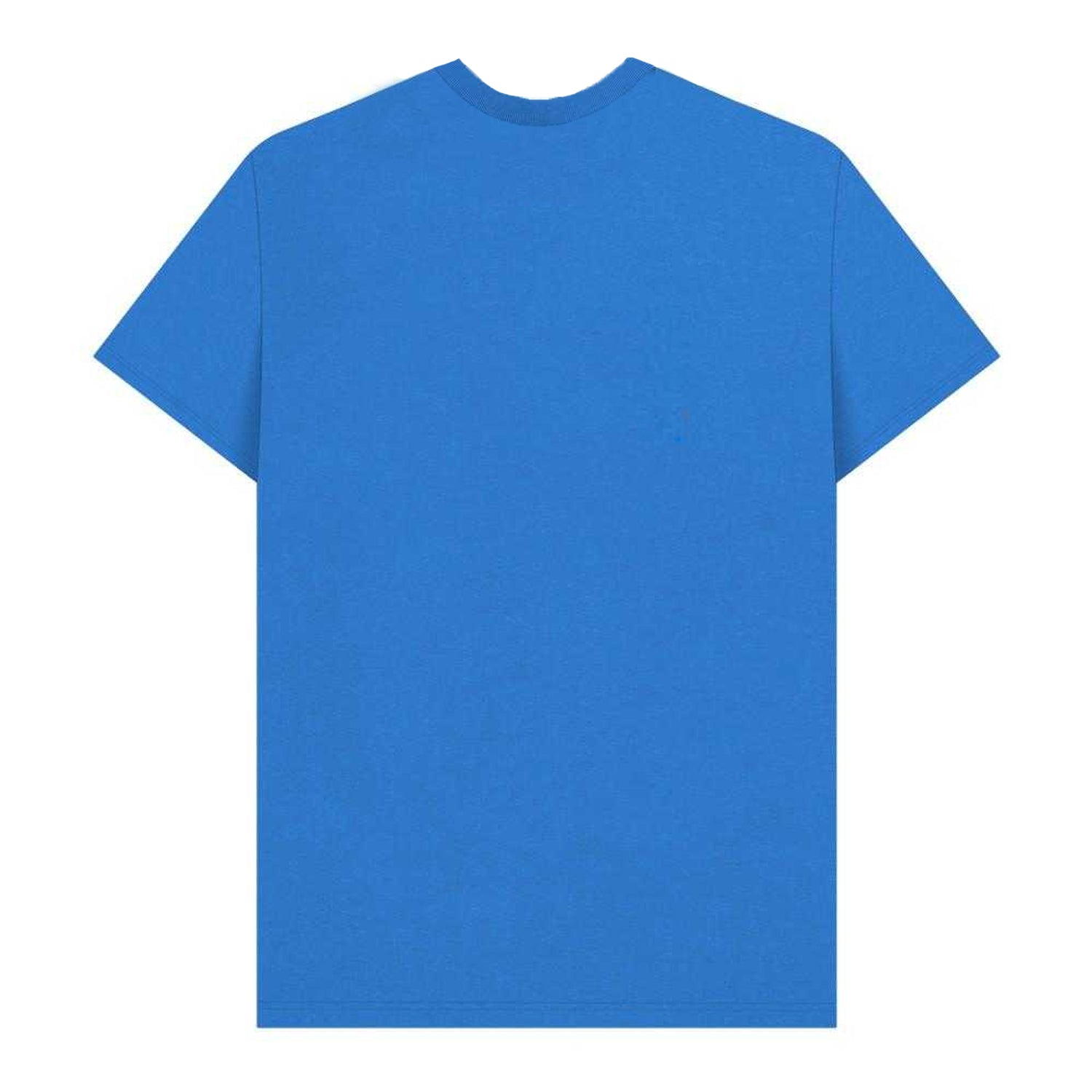 Bright Blue - Back - Wallace and Gromit Unisex Adult Feathers McGraw Pose T-Shirt