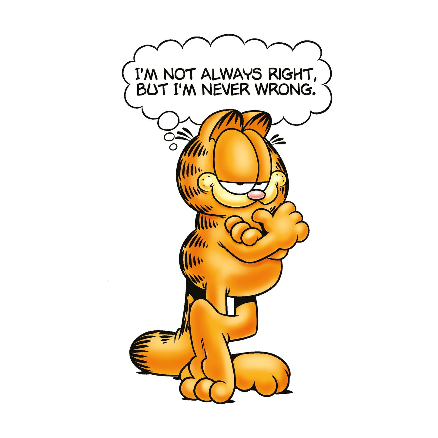 Heather Grey - Side - Garfield Unisex Adult Never Wrong T-Shirt