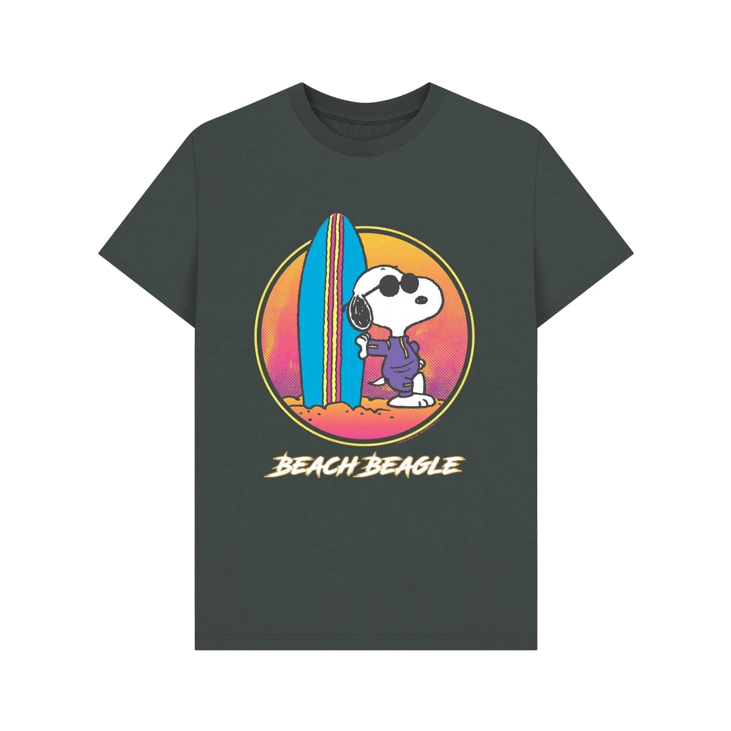 Dark Grey - Front - Peanuts Unisex Adult Fun Snoopy Beach Summer T-Shirt
