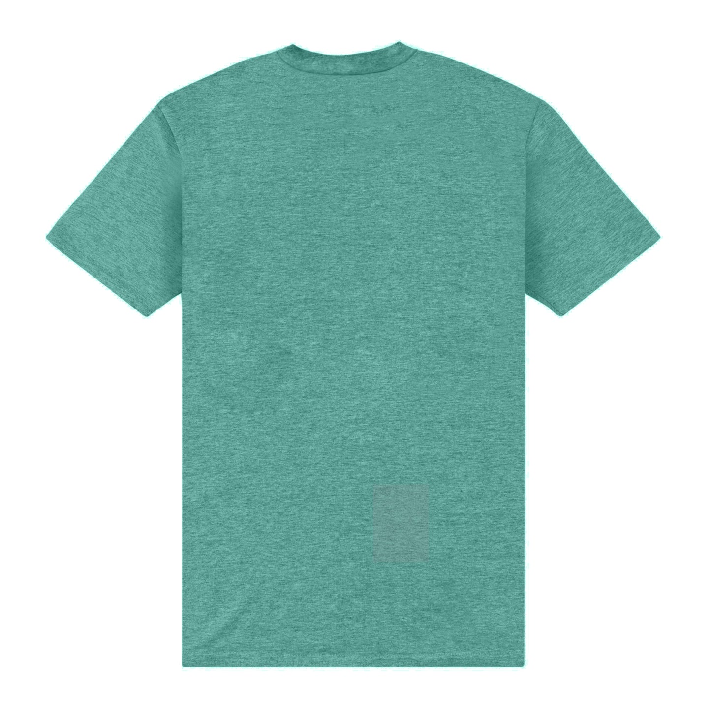 Heather Green - Back - Teenage Mutant Ninja Turtles Unisex Adult Donatello Vintage T-Shirt