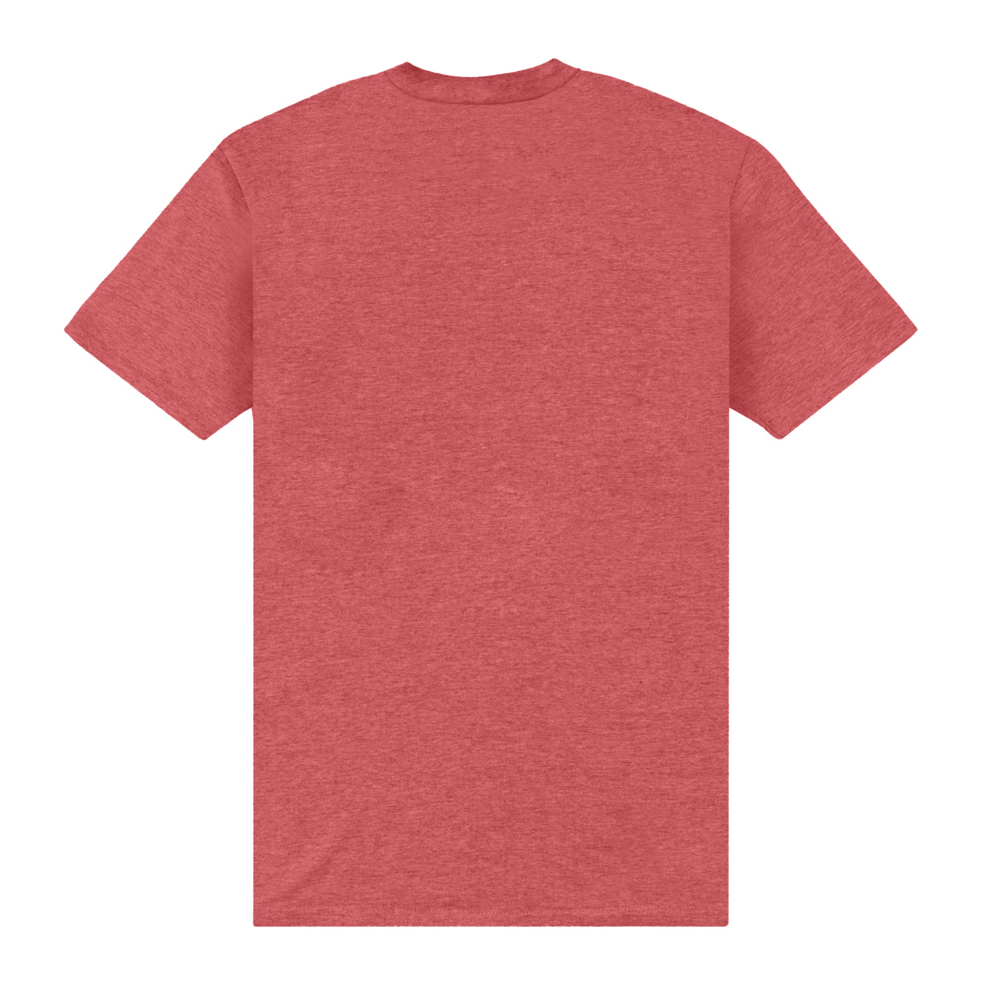 Red - Back - Teenage Mutant Ninja Turtles Unisex Adult Donatello Vintage T-Shirt