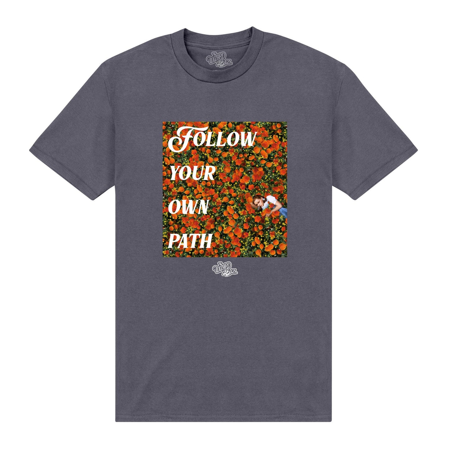 Grey - Front - The Wizard Of Oz Unisex Adult Follow T-Shirt