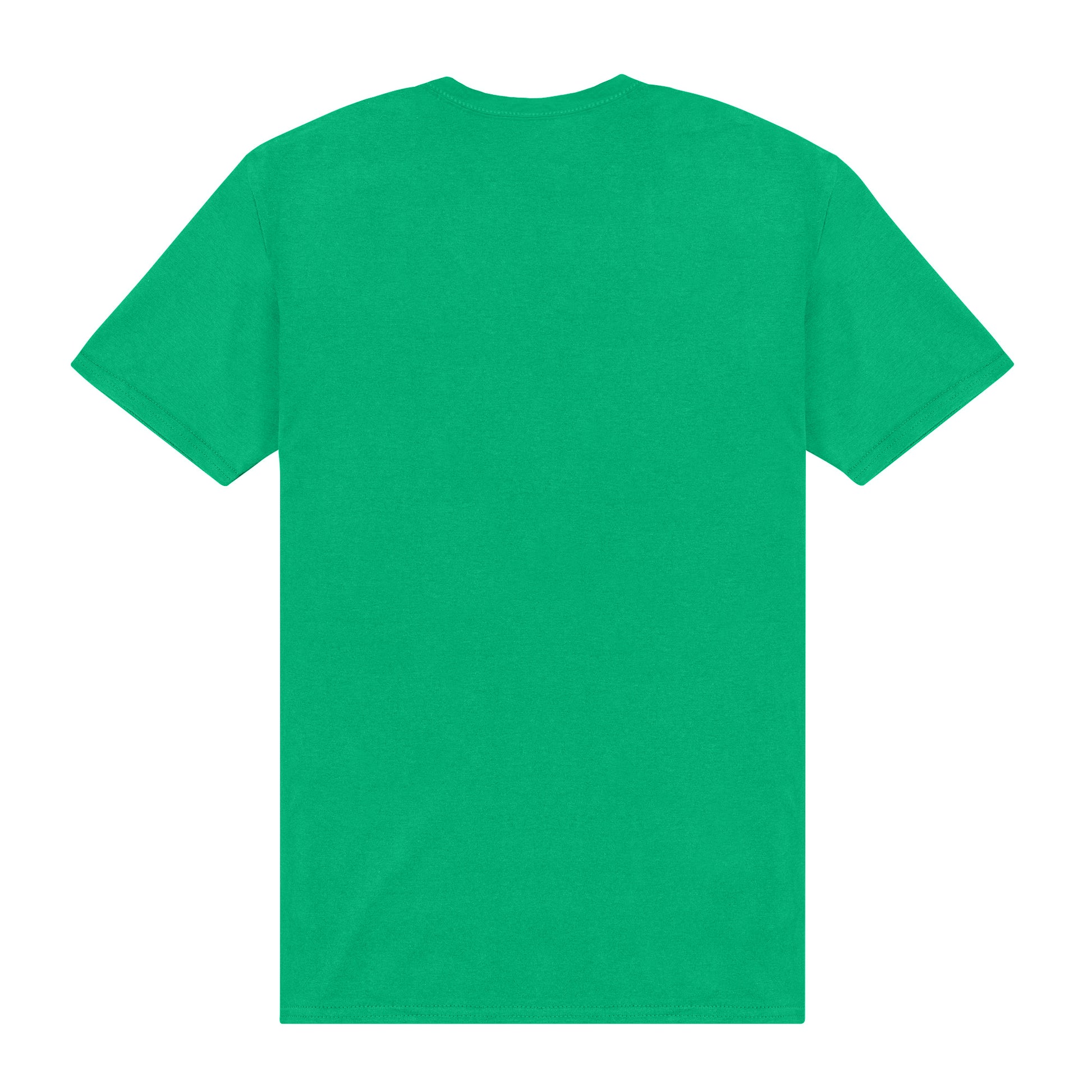 Celtic Green - Back - SpongeBob SquarePants Unisex Adult Hey T-Shirt