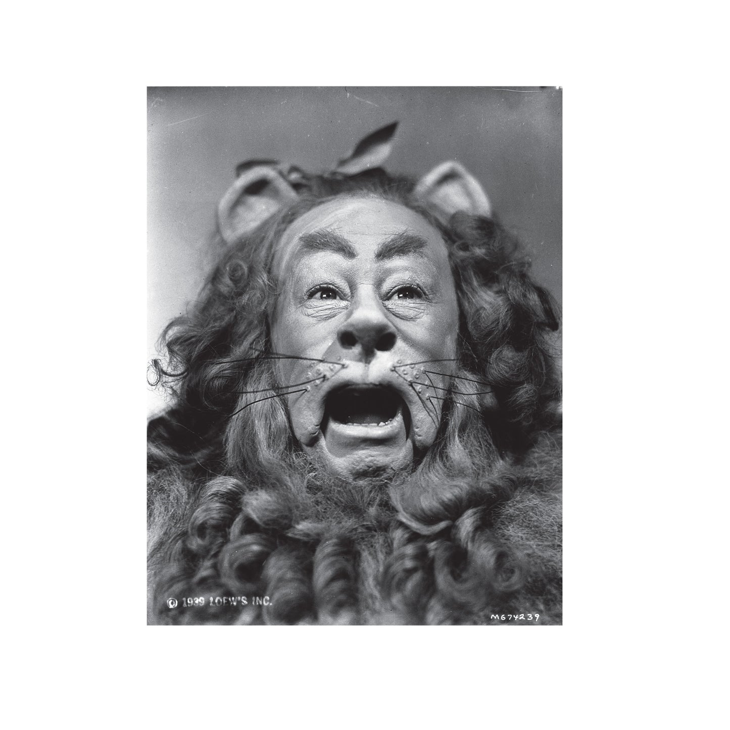 Black - Side - The Wizard Of Oz Unisex Adult The Cowardly Lion T-Shirt