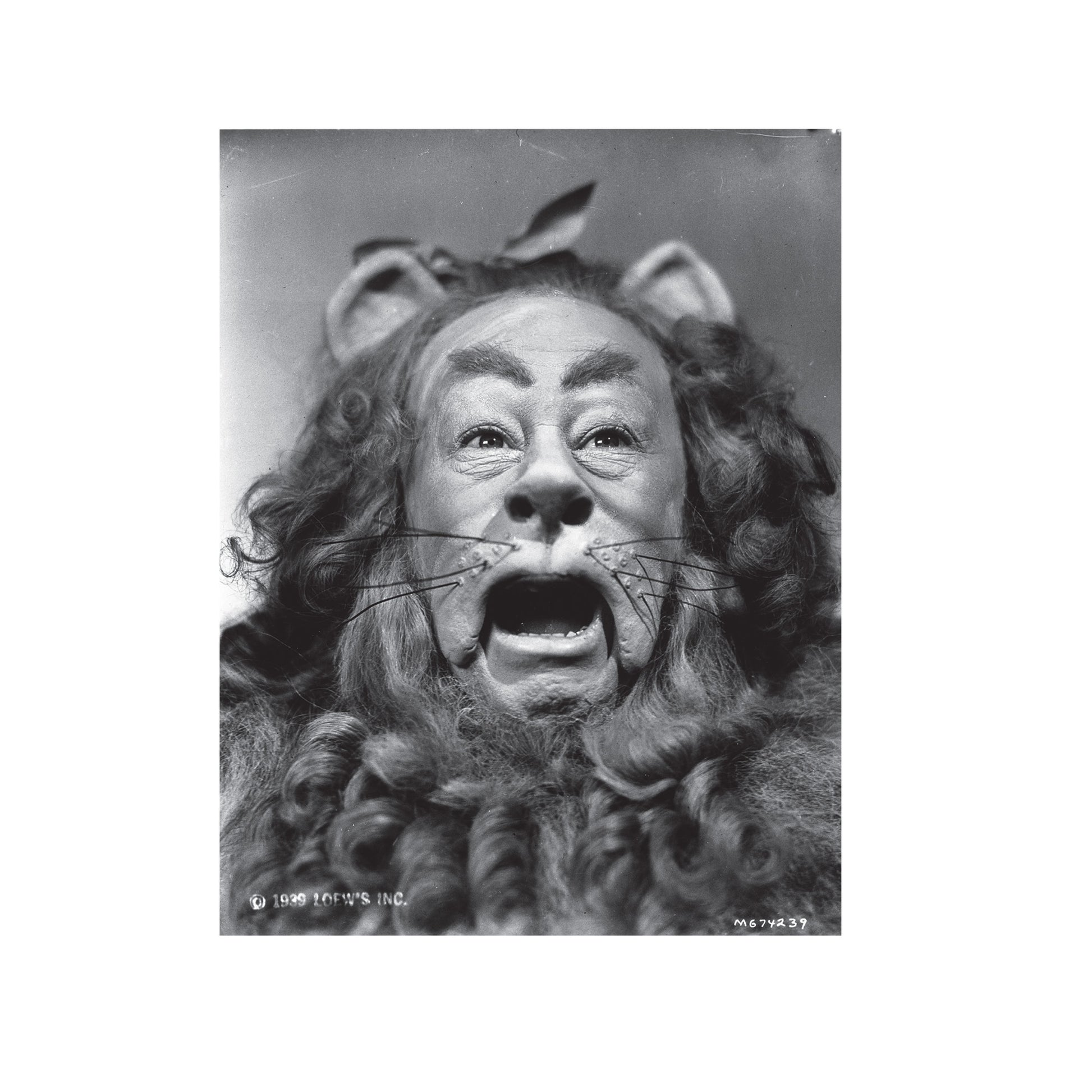 Black - Side - The Wizard Of Oz Unisex Adult The Cowardly Lion T-Shirt
