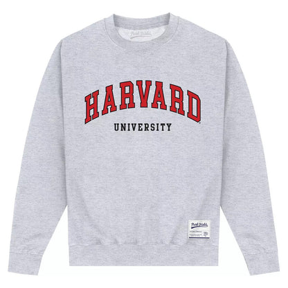 Heather Grey - Front - Harvard University Unisex Adult Script Sweatshirt