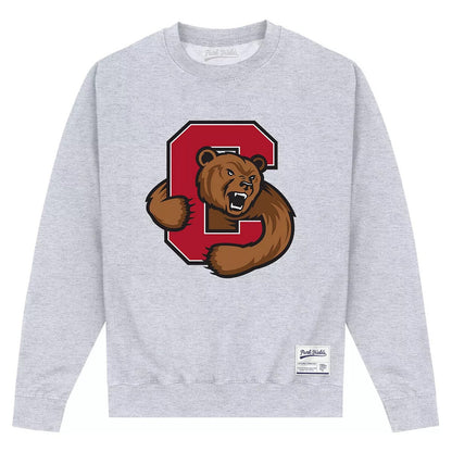 Heather Grey - Front - Cornell University Unisex Adult Bear Sweatshirt