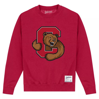 Maroon - Front - Cornell University Unisex Adult Bear Sweatshirt