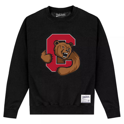 Black - Front - Cornell University Unisex Adult Bear Sweatshirt