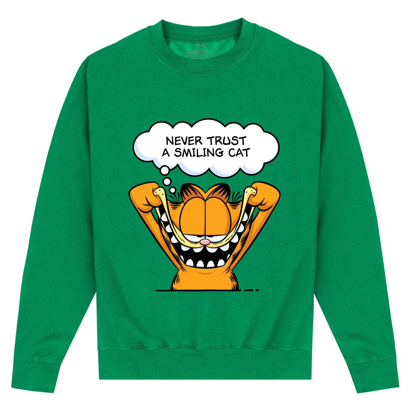 Celtic Green - Front - Garfield Unisex Adult Smiling Cat Sweatshirt