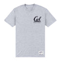 Heather Grey - Front - Berkeley Unisex Adult University Of California T-Shirt