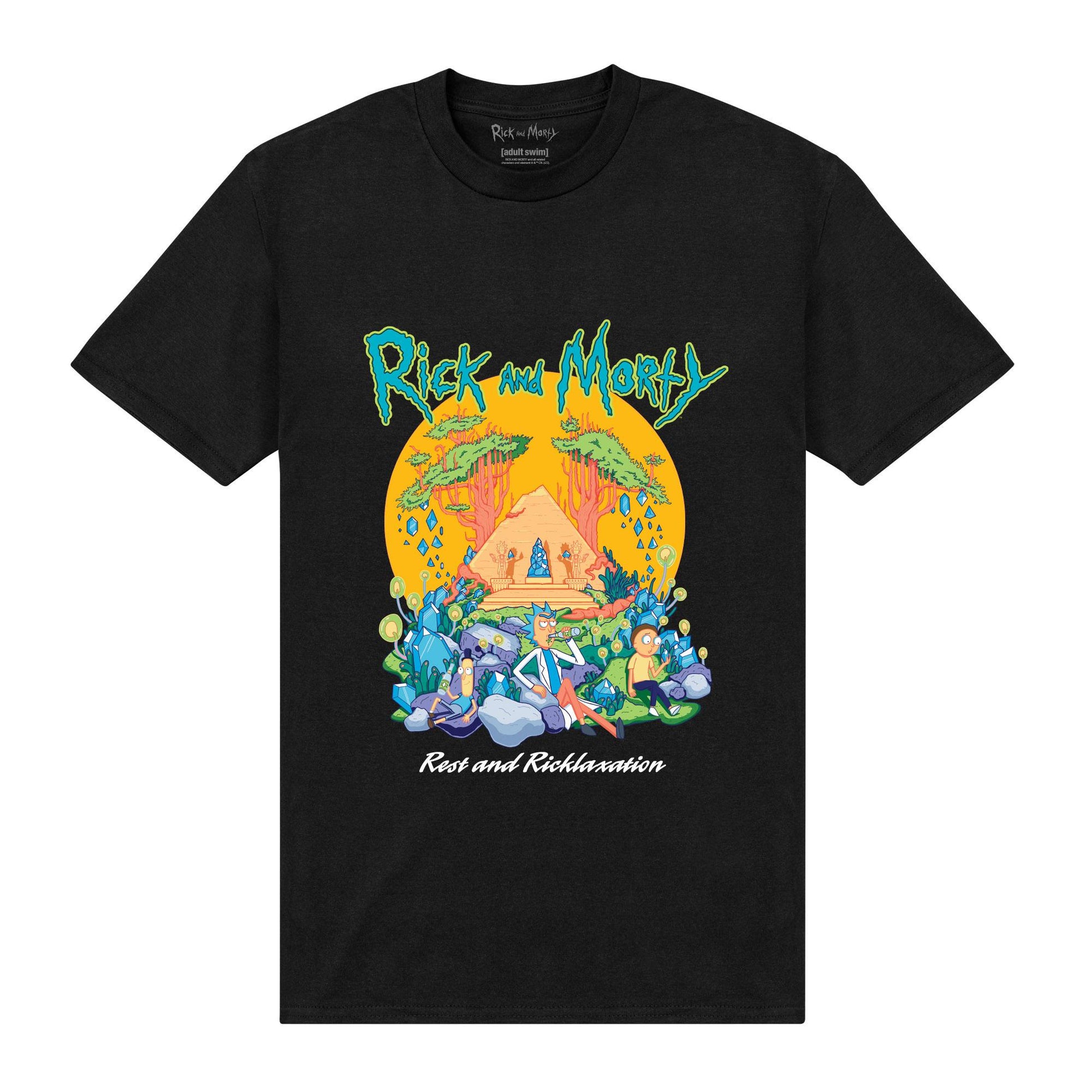Black - Front - Rick And Morty Unisex Adult Pyramid T-Shirt