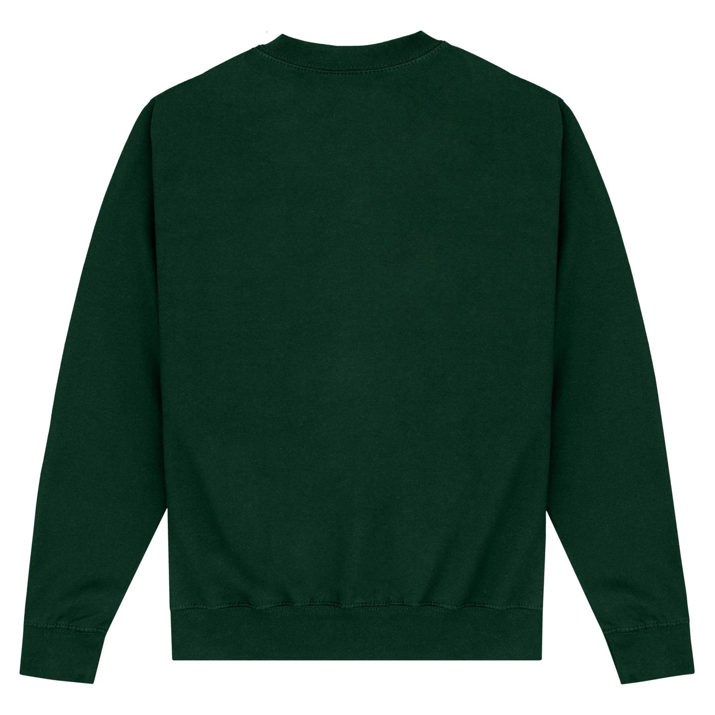 Bottle Green - Back - Black Adam Unisex Adult Cyclone Sweatshirt