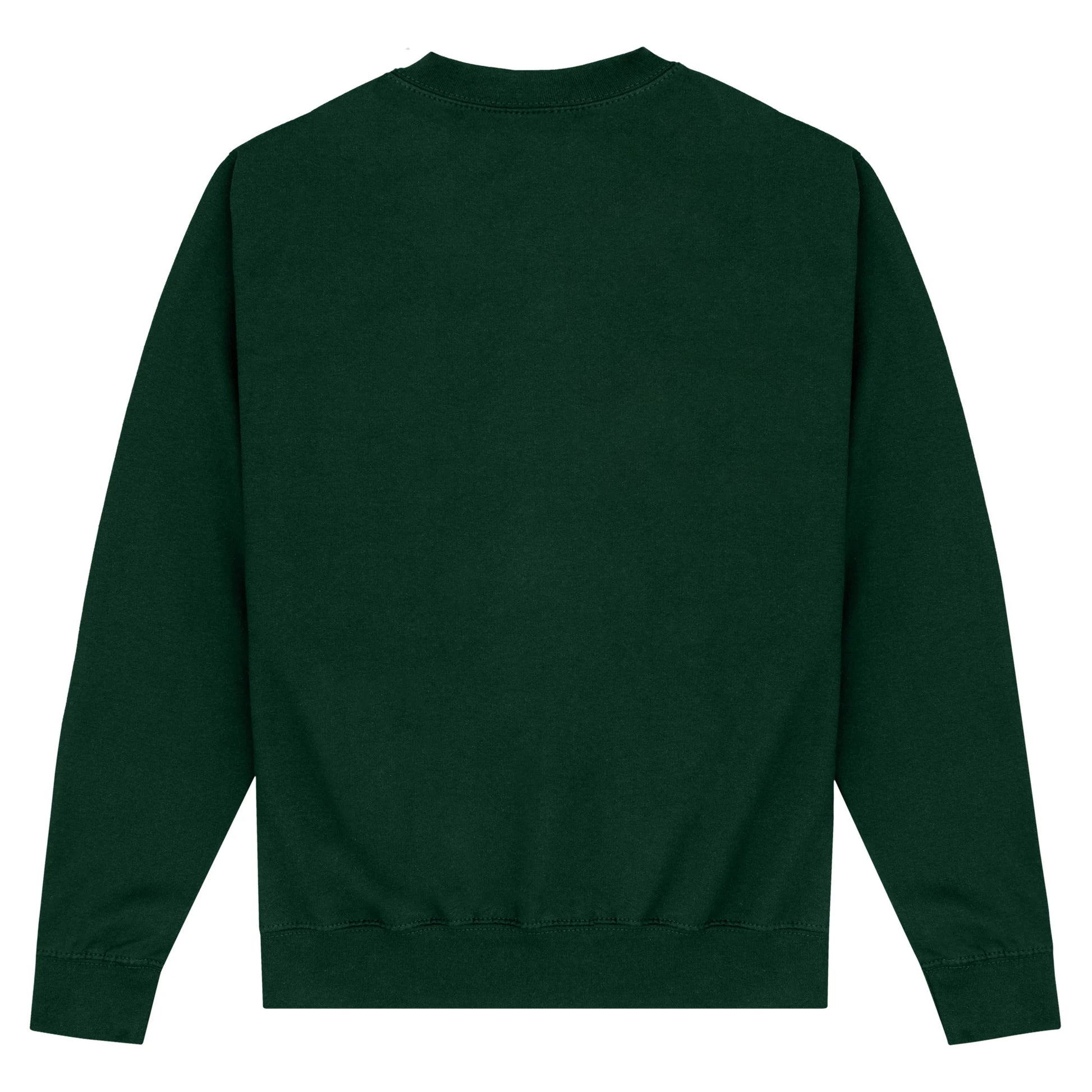 Bottle Green - Back - Black Adam Unisex Adult Cyclone Sweatshirt