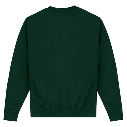 Bottle Green - Back - Black Adam Unisex Adult Cyclone Sweatshirt