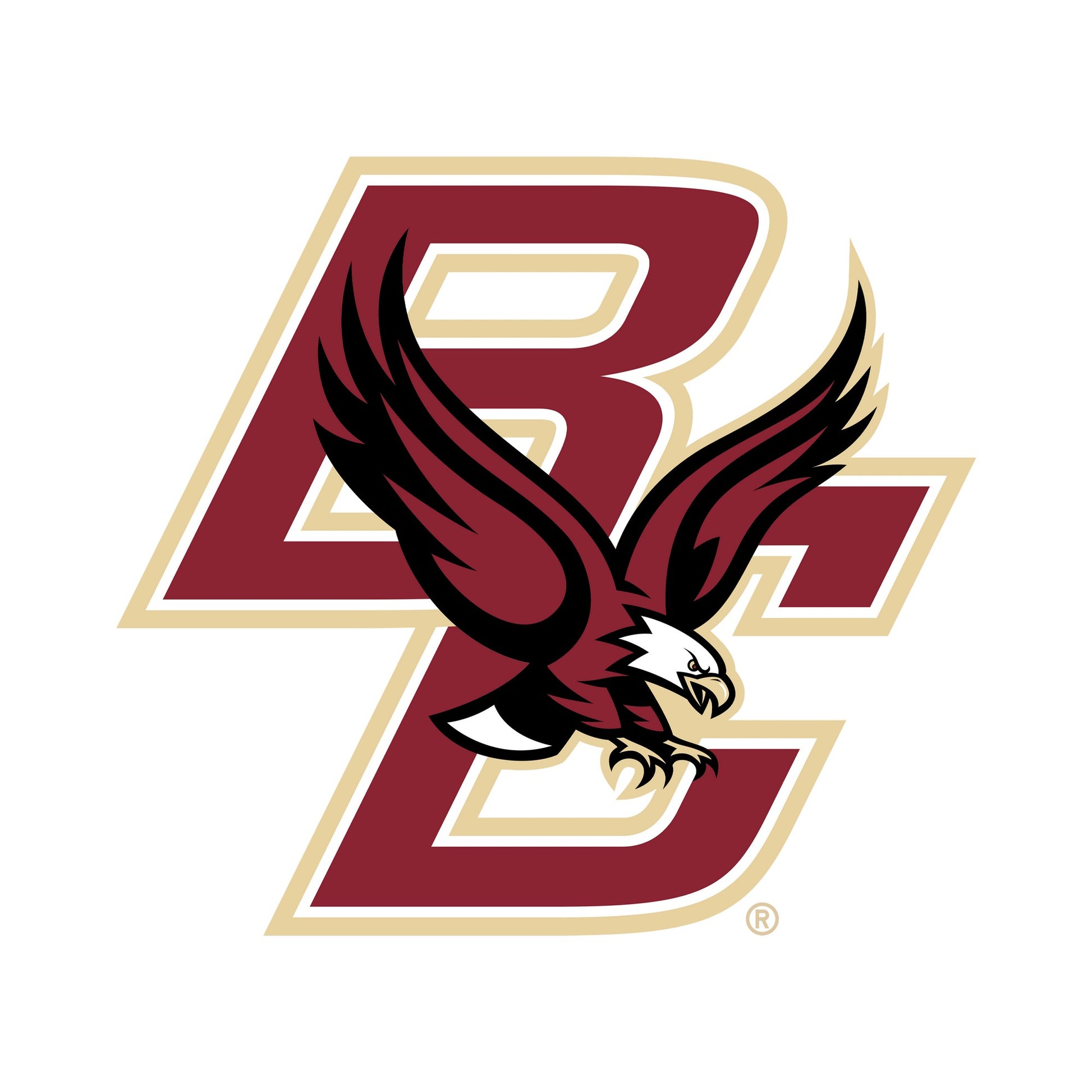 Black - Side - Boston College Unisex Adult Eagle Hoodie