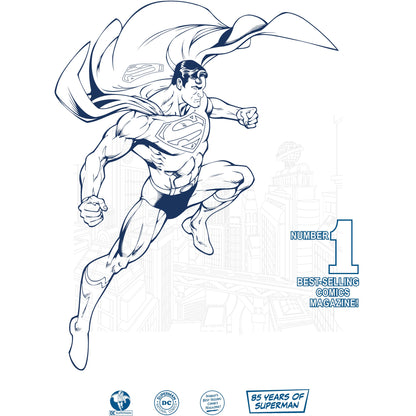 Blue - Lifestyle - Superman Unisex Adult Number One T-Shirt