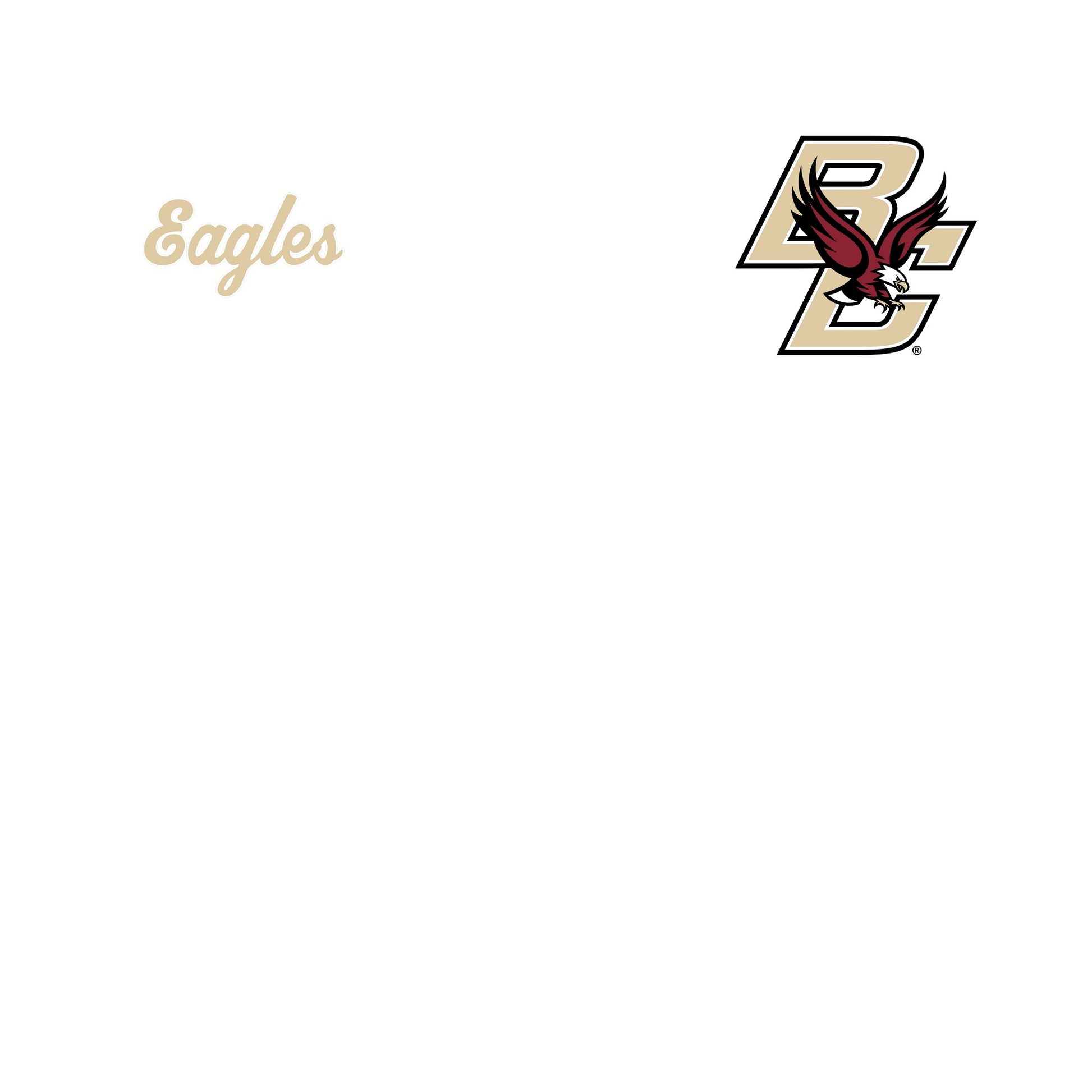 Red - Side - Boston College Unisex Adult BC Eagles T-Shirt