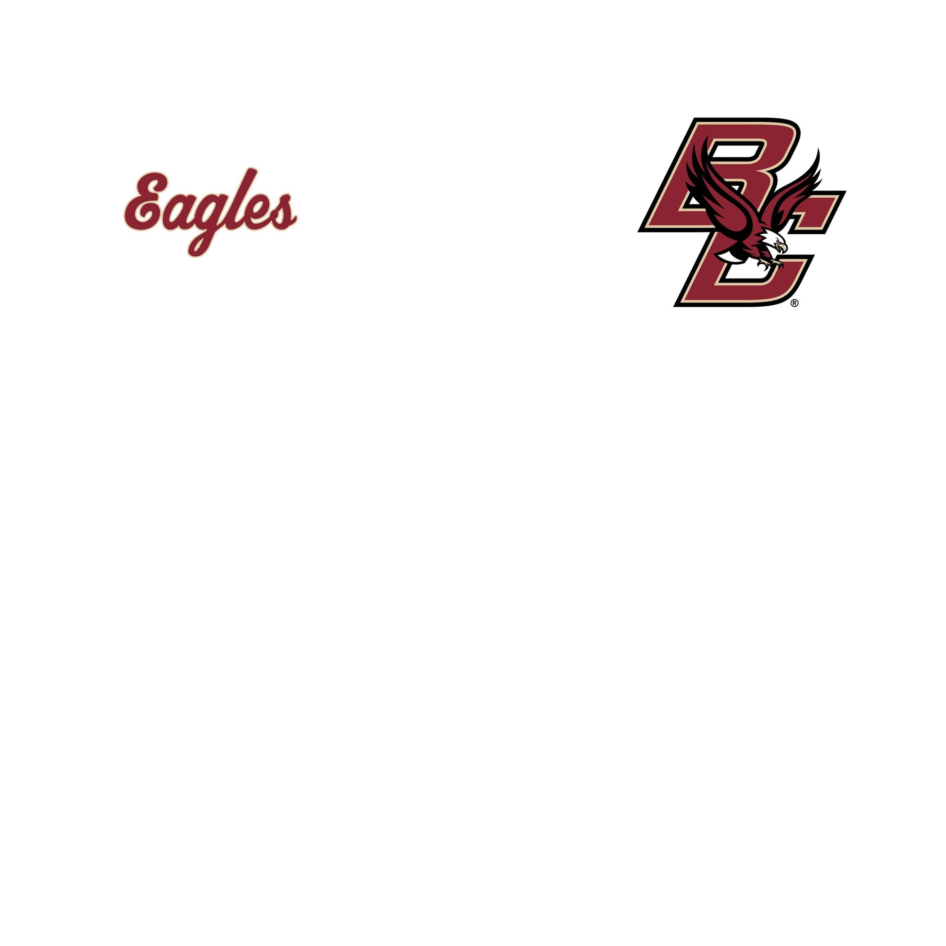 Black - Lifestyle - Boston College Unisex Adult BC Eagles T-Shirt