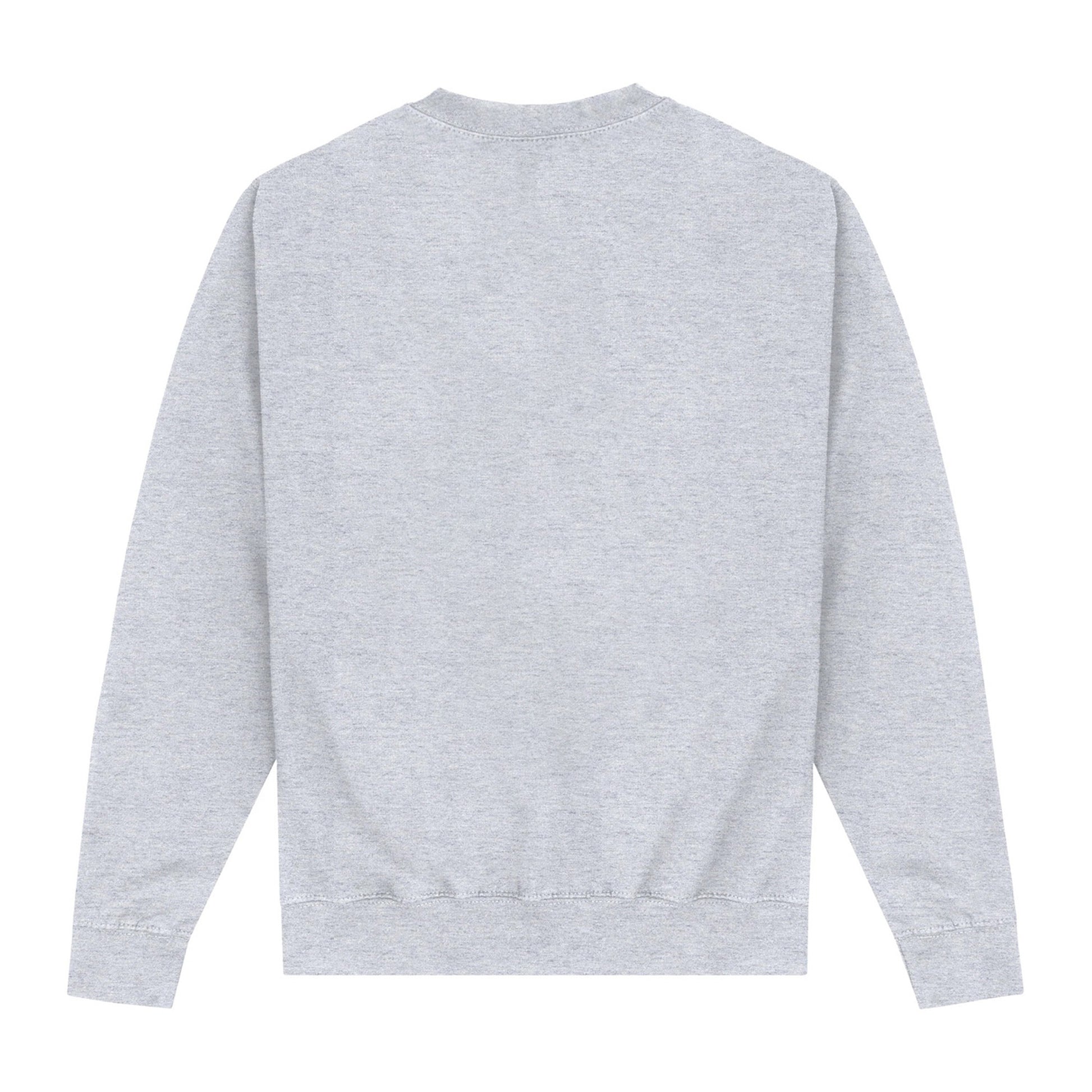 Heather Grey - Back - University Of Oxford Unisex Adult Sweatshirt